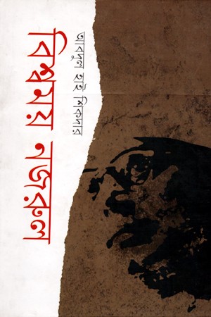 বিশ্বময় নজরুল — প্রচ্ছদ