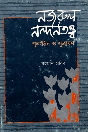 নজরুল নন্দনতত্ত্ব — প্রচ্ছদ